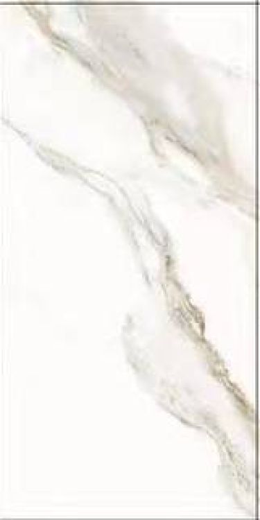 Time Lumidora Matte 12 x 24